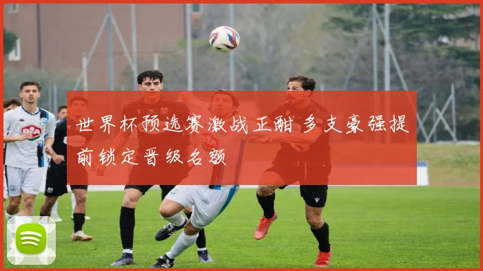 世界杯预选赛激战正酣 多支豪强提前锁定晋级名额
