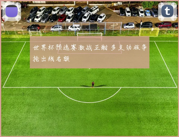 世界杯预选赛激战正酣 多支劲旅争抢出线名额