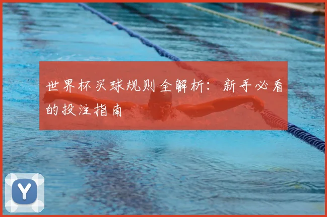 世界杯买球规则全解析：新手必看的投注指南