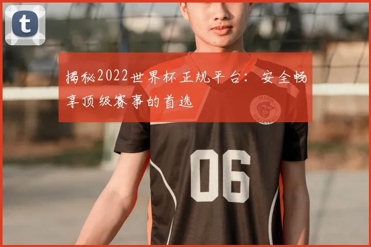 揭秘2022世界杯正规平台：安全畅享顶级赛事的首选