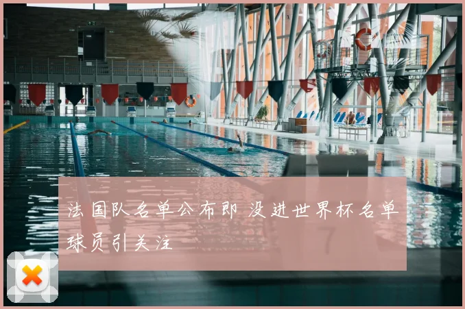 法国队名单公布即 没进世界杯名单球员引关注