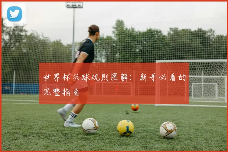 世界杯买球规则图解：新手必看的完整指南