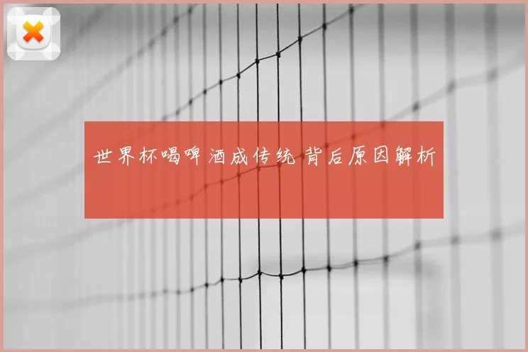 世界杯喝啤酒成传统 背后原因解析