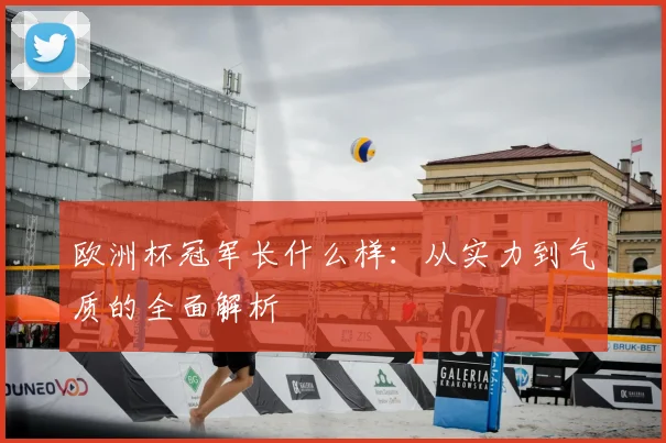 欧洲杯冠军长什么样：从实力到气质的全面解析