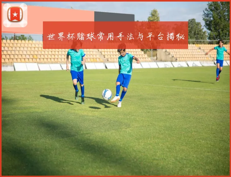 世界杯赌球常用手法与平台揭秘
