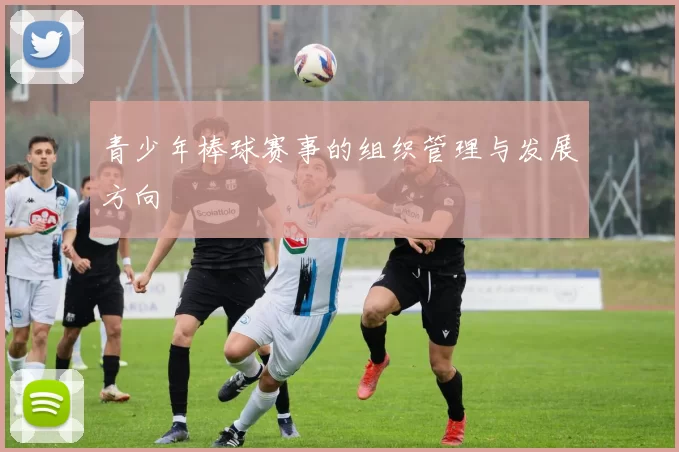 青少年棒球赛事的组织管理与发展方向