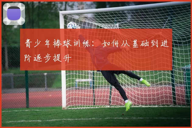 青少年棒球训练：如何从基础到进阶逐步提升