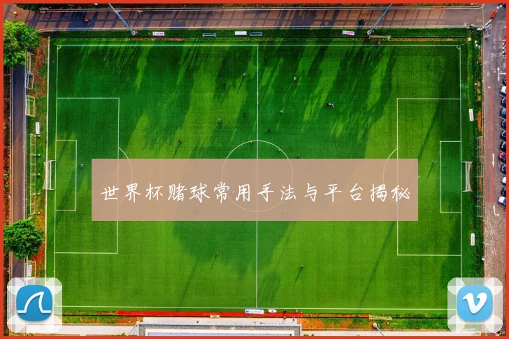 世界杯赌球常用手法与平台揭秘
