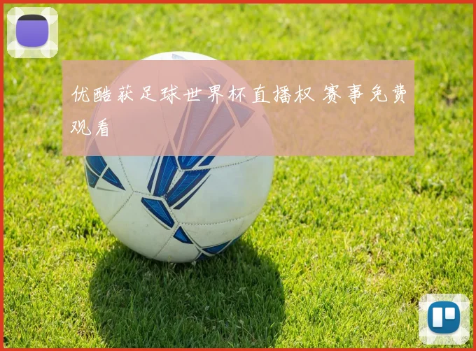 优酷获足球世界杯直播权 赛事免费观看