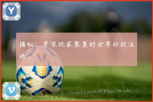 揭秘：资深玩家聚集的世界杯投注地