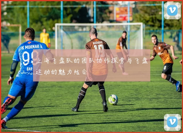 上海飞盘队的团队协作探索与飞盘运动的魅力结合